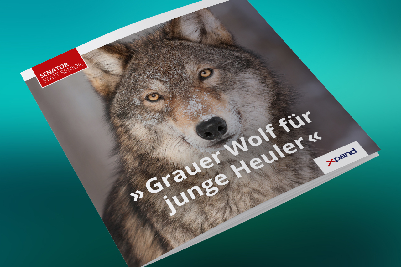 Werbemittel Titeldesign Broschüre „Grauer Wolf für junge Heuler“ – Kampagne Senator statt Senior (xpand)